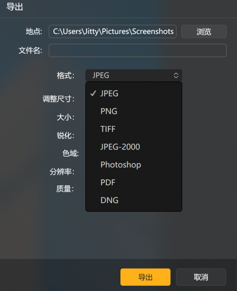 格式选择