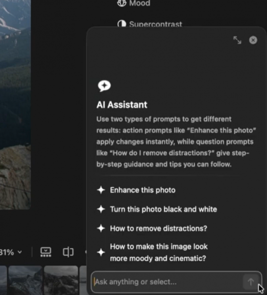 AI Assistant