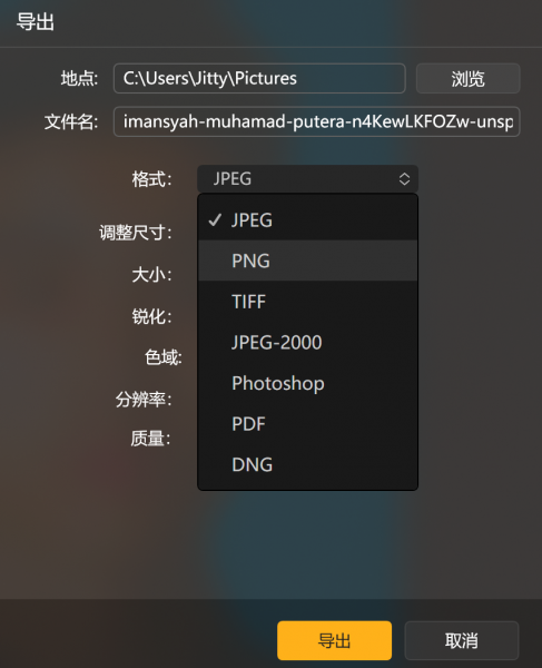 导出设置
