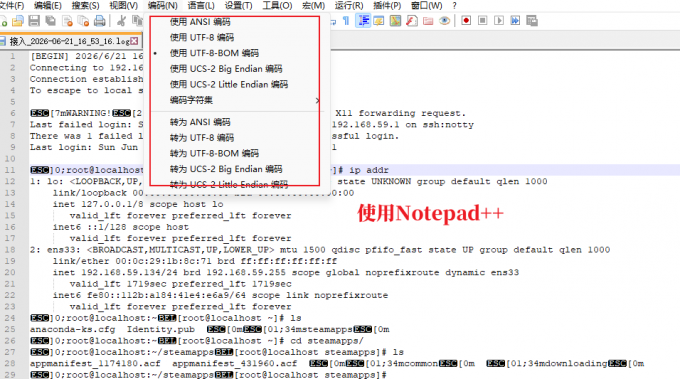 使用Notepad++