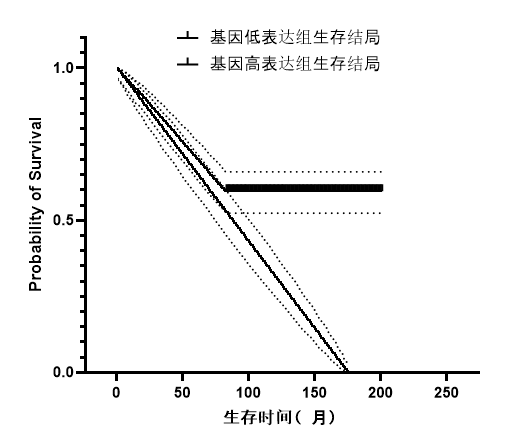 调整图例标签