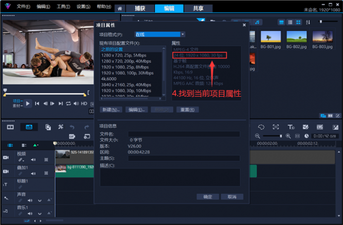 查看当前项目属性