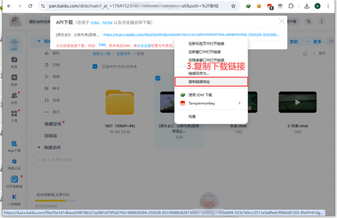 复制解析出来的直链地址