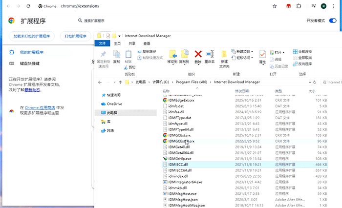 手动添加浏览器插件