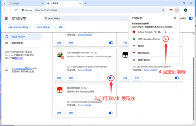 启用IDM插件并固定到前端
