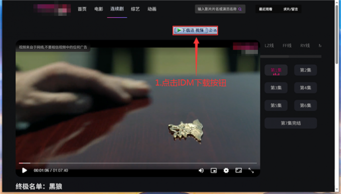 点击IDM下载按钮
