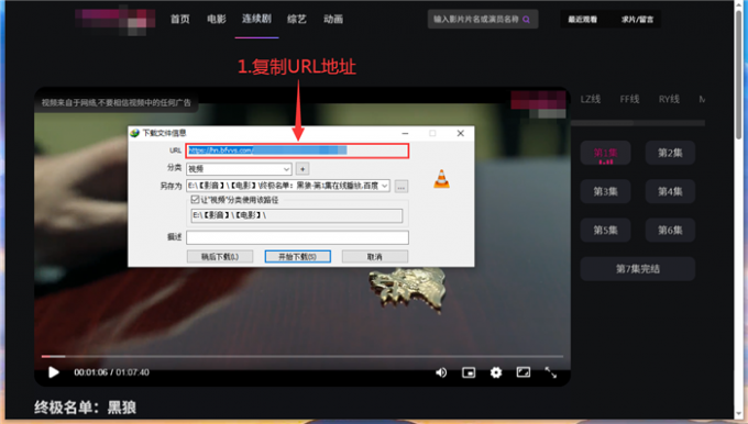 复制IDM信息栏中的URL地址