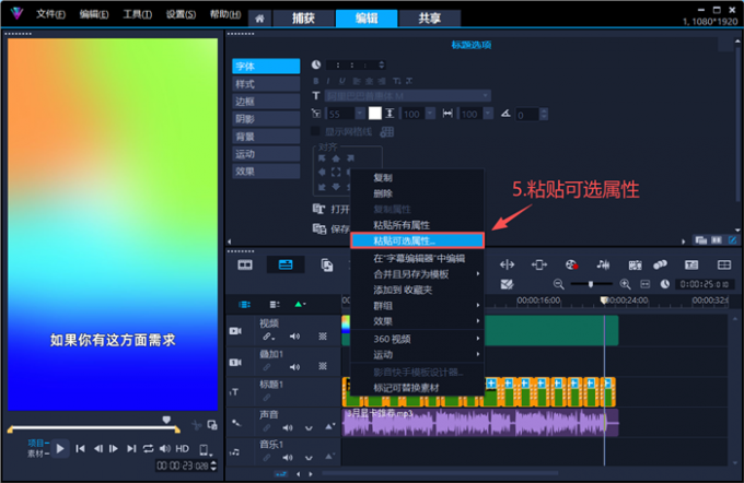 粘贴可选属性