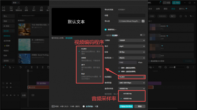 支持的视频编码和音频采样