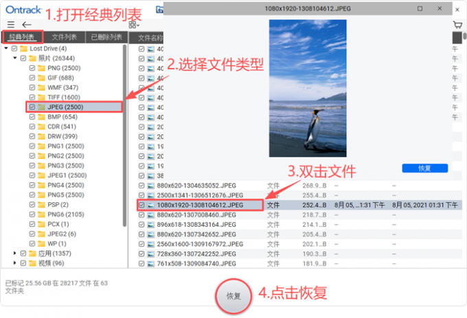 预览并恢复文件