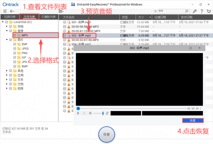 预览并恢复音频文件