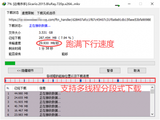 IDM高速下载磁力资源
