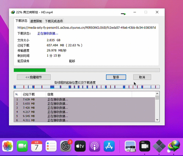 用IDM下载Mac网页视频