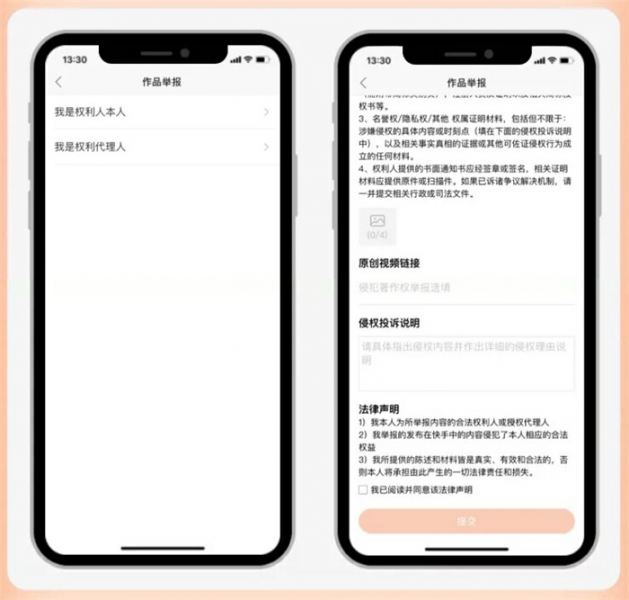 平台侵权投诉界面
