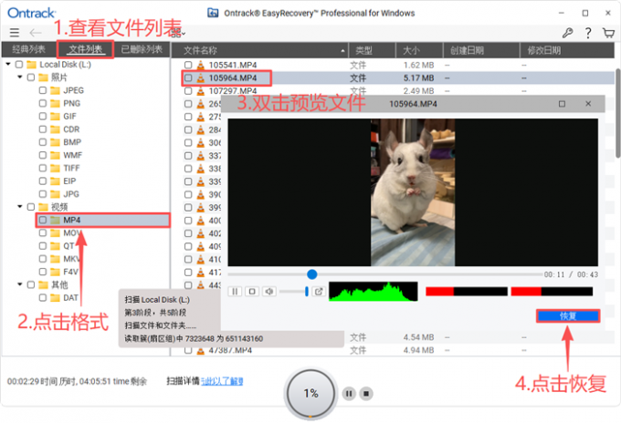 预览并恢复文件