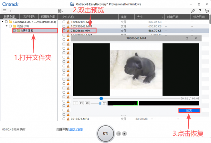 预览并恢复视频文件