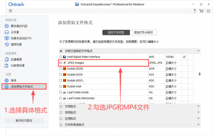 勾选需要恢复的文件格式