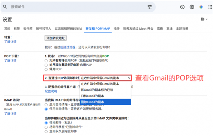 查看Gmail的POP选项