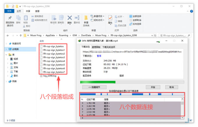 在临时文件夹中下载数据