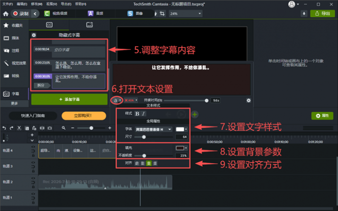 调整字幕样式