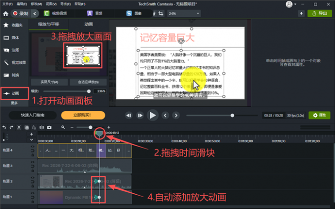 添加局部放大效果