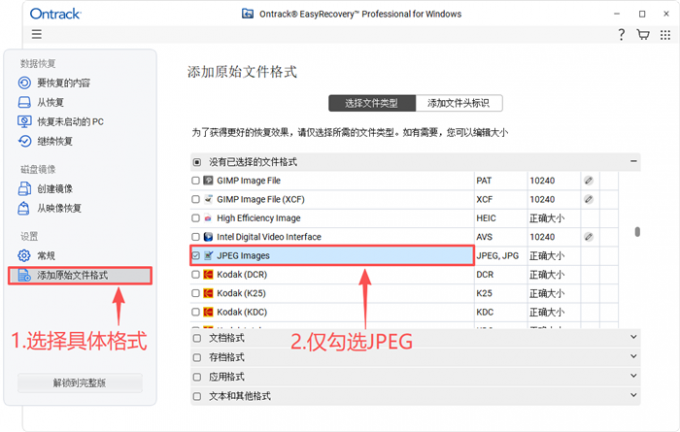 选择需要恢复的文件格式
