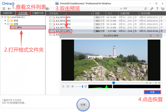 预览并恢复无人机视频