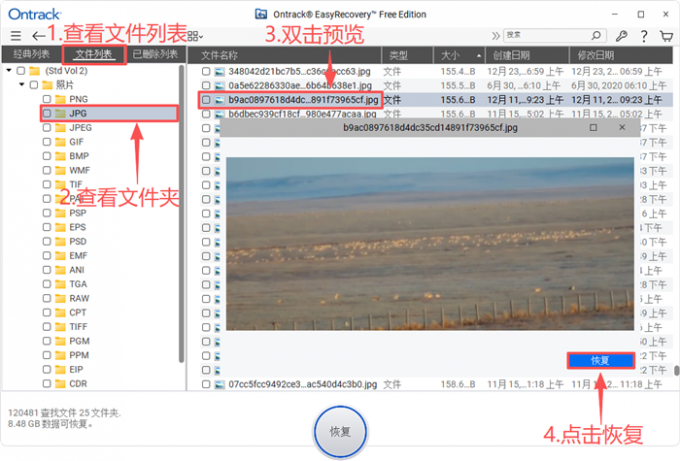 预览并恢复文件