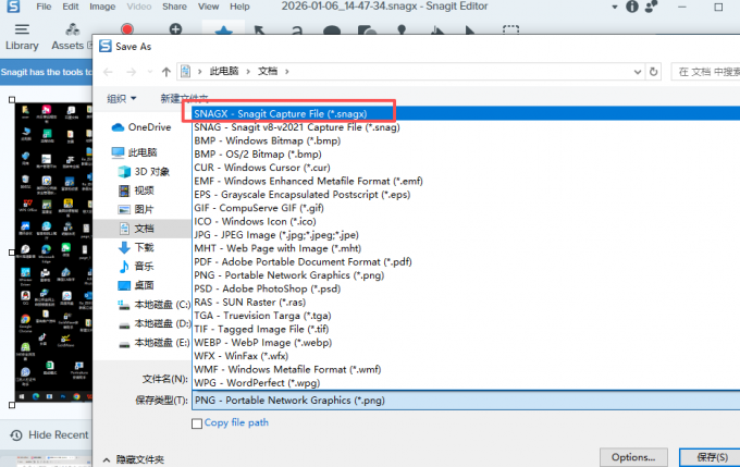 导出为SnagX格式