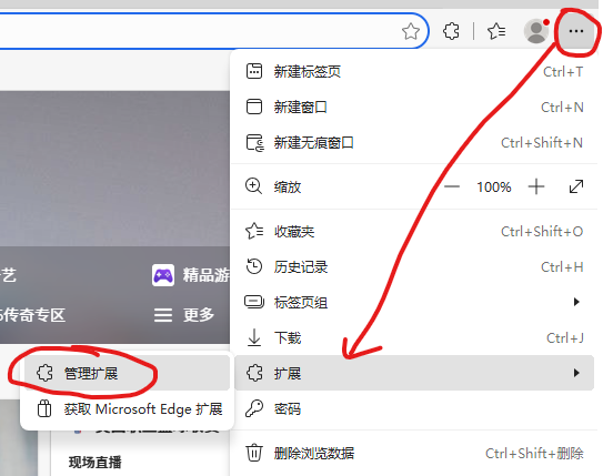 在浏览器中打开IDM扩展