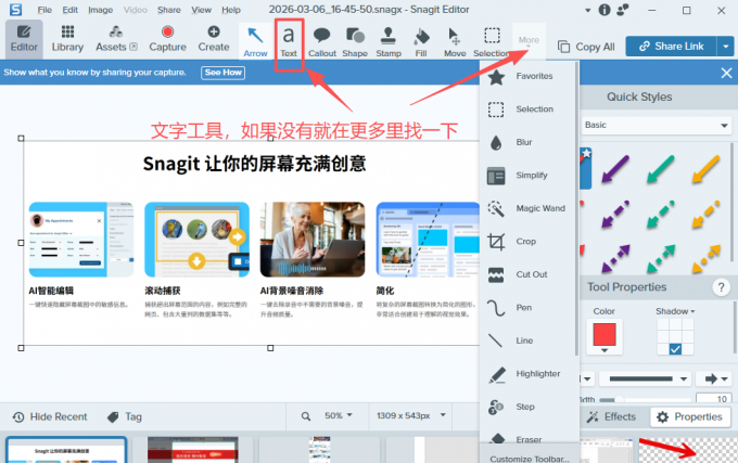 Snagit编辑器文字工具