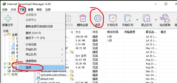 IDM选项