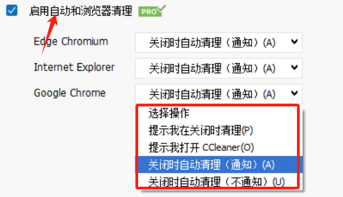 启用自动和浏览器清理