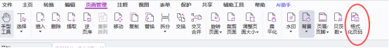 格式化页码