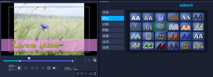 字體樣式