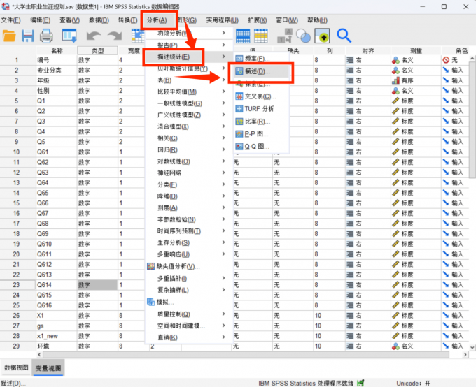 进入描述统计界面中