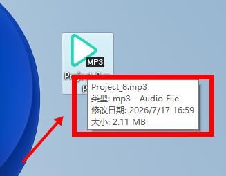 检查音频格式