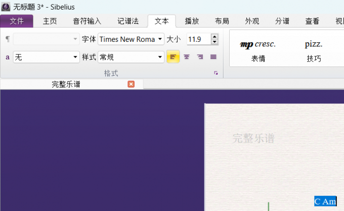 和弦符号格式编辑界面
