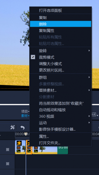 删除操作界面图