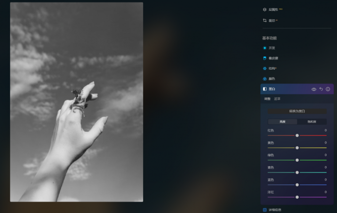 黑白调整模块界面图