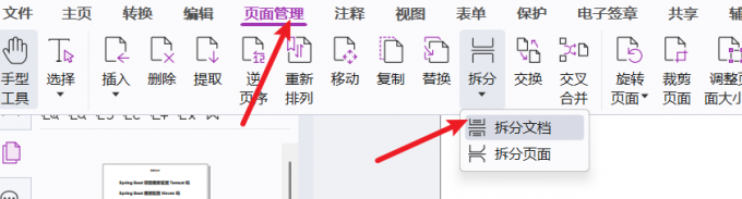 在页面管理中拆分文档