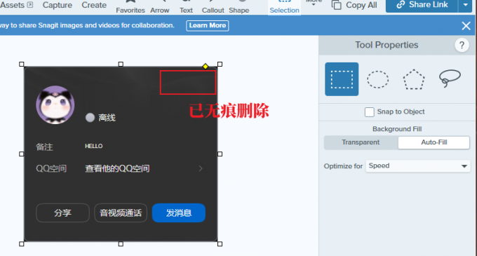 Snagit截图如何隐藏隐私