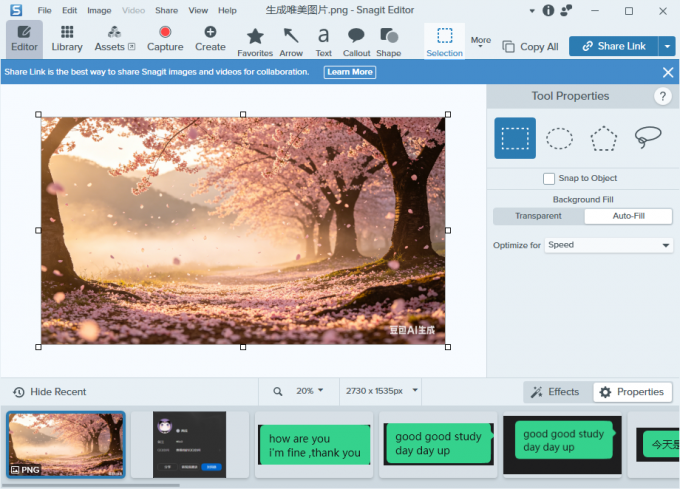 使用Snagit Editor打开图片