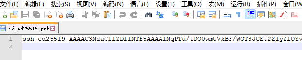 使用记事本查看公钥