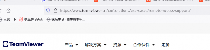 登录TeamViewer官网