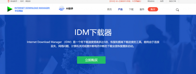 idm中文网站