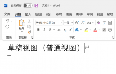 word中的草稿视图（又称普通视图）