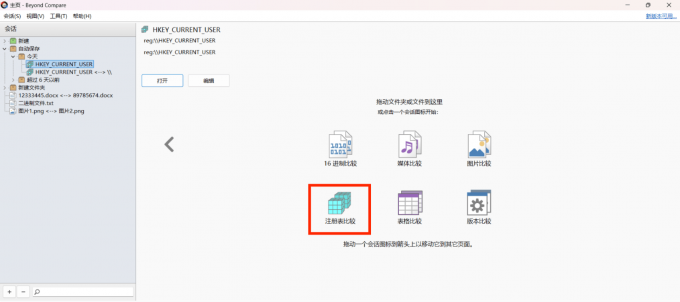选择“注册表比较选项”