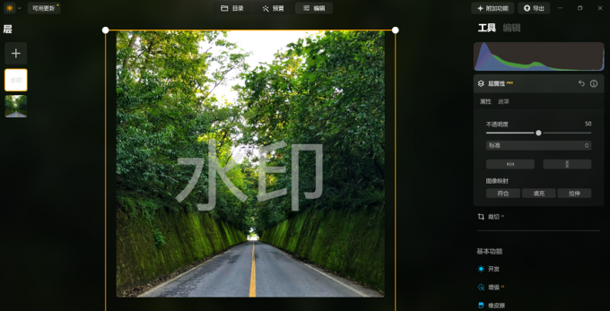 调整水印