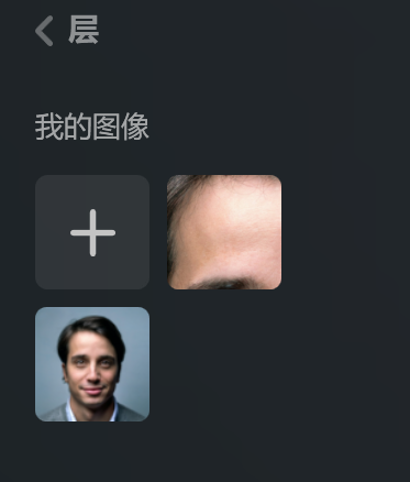 导入层